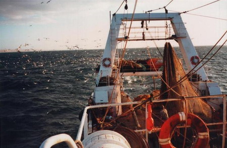 barco5p.jpg